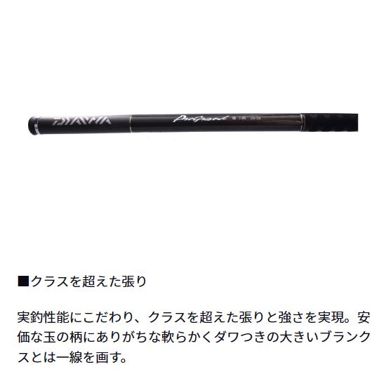 ダイワ 23 プログランド磯玉網 60-60 W / たも網 玉の柄 セット 釣具 daiwaの画像