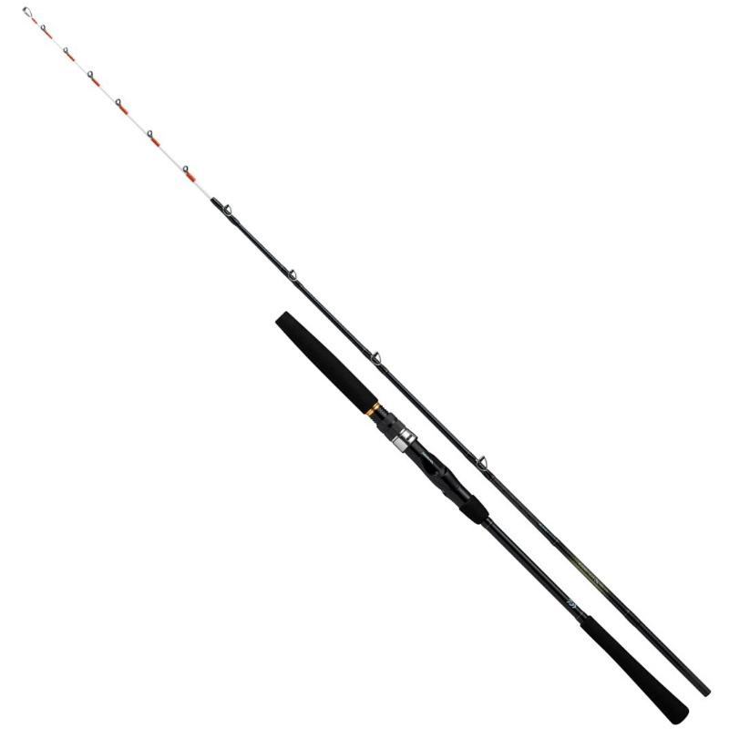 DAIWA ダイワ　ビシアジX MH-170 DAIWA（ダイワ） 25 ビシアジX MH-170・J / 船竿 釣具 : フィッシング
