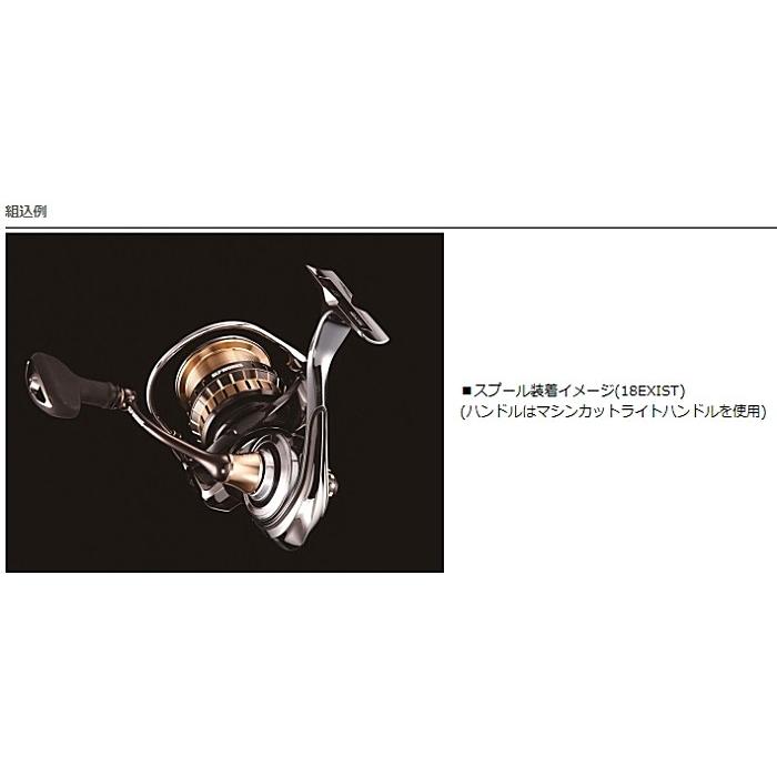 DAIWA（ダイワ） SLPW EX LTスプール 3000S / daiwa : フィッシング