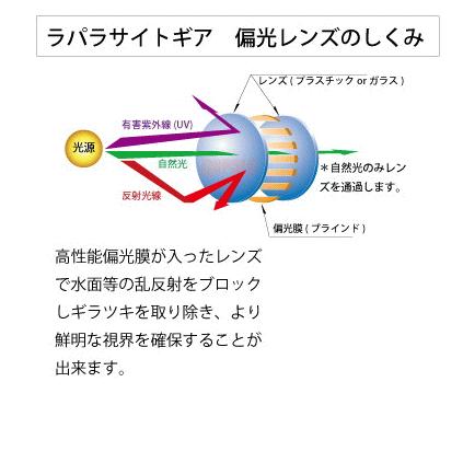 ラパラ 偏光サングラス SC SERIES 05 RSG-SC05GB｜tsuribitokan｜03