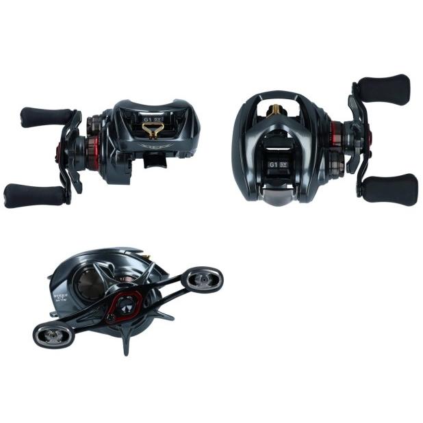 DAIWA（ダイワ） ベイトリール 20 スティーズ CT SV TW 700SHL 左
