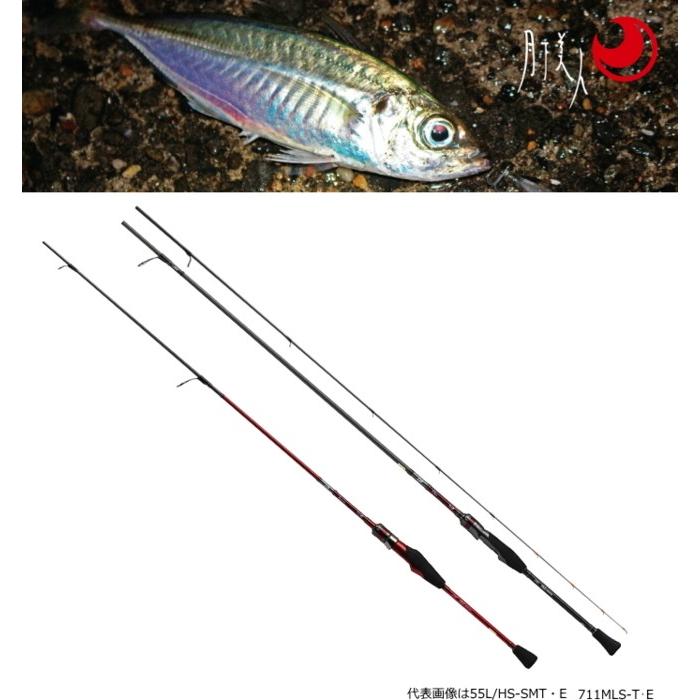 DAIWA（ダイワ） 月下美人 EX AGS AJING 711MLS-T・E / アジングロッド
