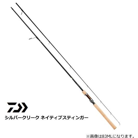 DAIWA（ダイワ） 20 シルバークリーク ネイティブスティンガー 92M