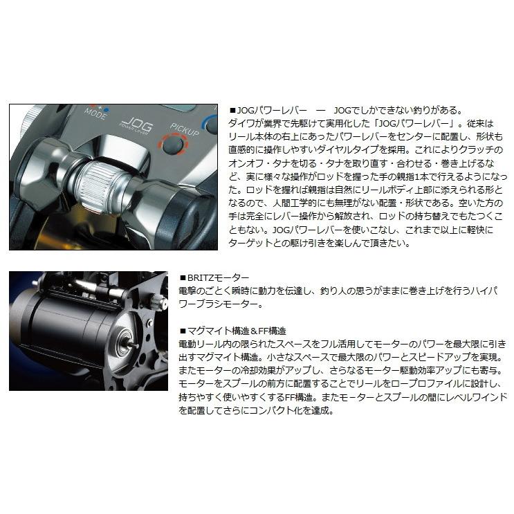 DAIWA（ダイワ） 15 レオブリッツ 300J / 釣具 : フィッシング釣人館