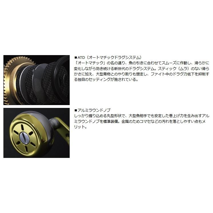 DAIWA（ダイワ） 15 レオブリッツ 300J / 釣具 : フィッシング釣人館