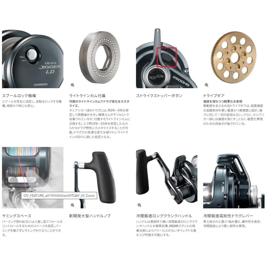 シマノ（SHIMANO） 24 オシアジガー LD 2500MG (右ハンドル) / ベイト