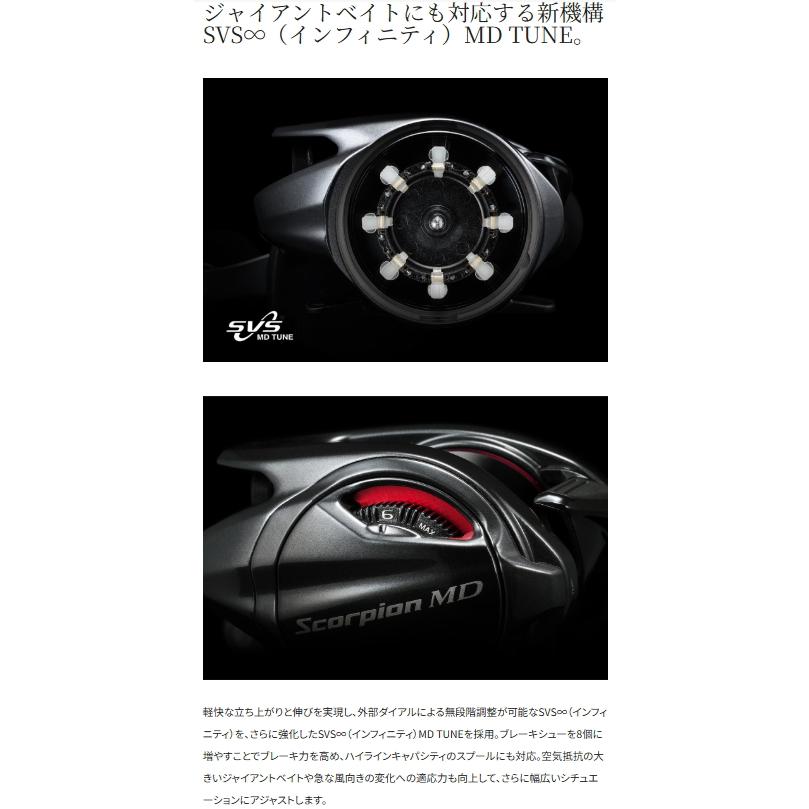シマノ（SHIMANO） 24 スコーピオン MD 300XG 右ハンドル / ベイト