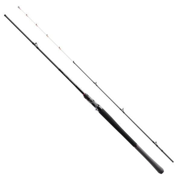 シマノ（SHIMANO） 25 ソルティーアドバンス オフショアモデル