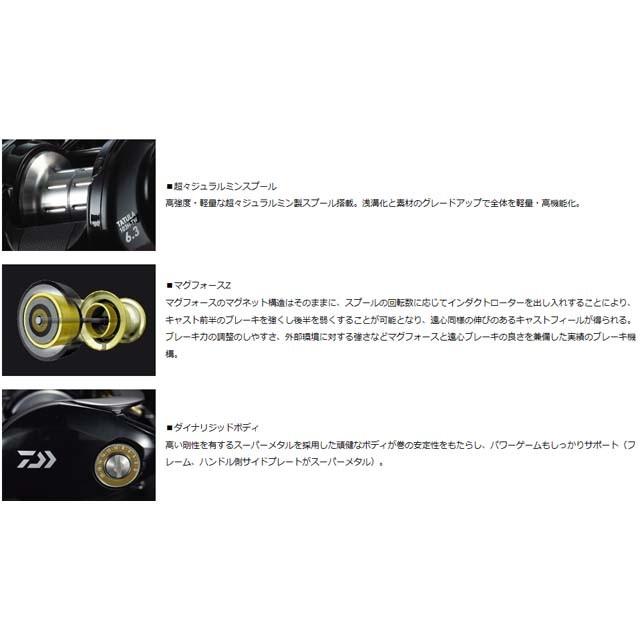 DAIWA（ダイワ） タトゥーラ 100H-TW （17 TATULA 右巻き ギア比
