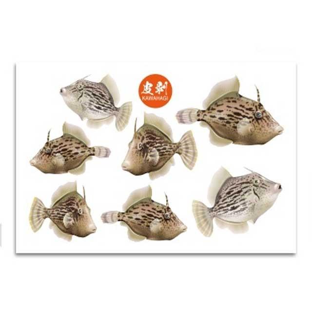 ヤマワ産業 タックルインジャパン ハード転写ステッカー カワハギ 皮剥 サイズ １００ｍｍ １４８ｍｍ 入数 １枚 つり具 Ten Yahoo 店 通販 Yahoo ショッピング