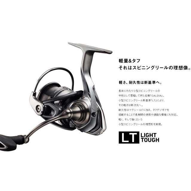 DAIWA（釣り） ダイワ／DAIWA カルディア LT5000S