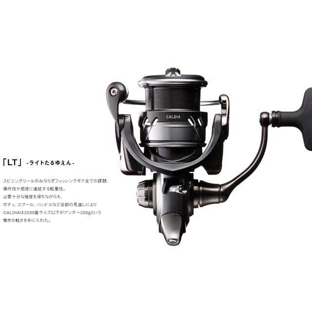 DAIWA（ダイワ） カルディア LT5000S-CXH （浅溝EX