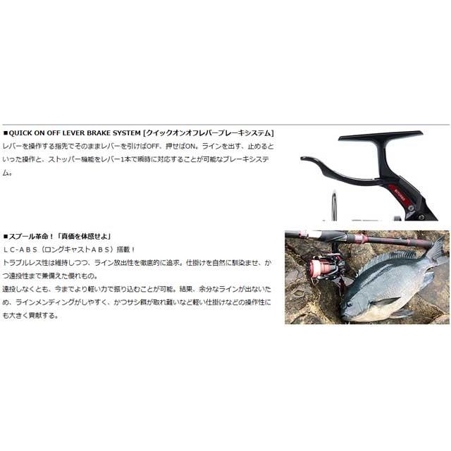 DAIWA（ダイワ） ラグザス 3000LBD （19年モデル ノーマル