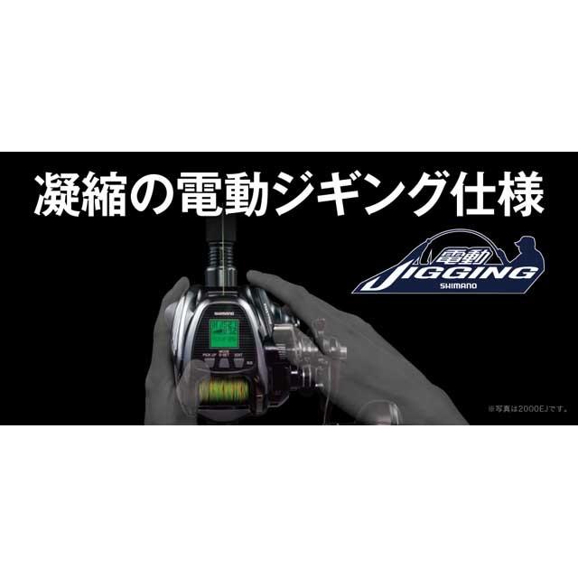 シマノ（SHIMANO） ビーストマスター EJ 1000 （20年モデル 右