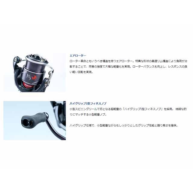 DAIWA（ダイワ） 月下美人X LT2000S-P （20年モデル