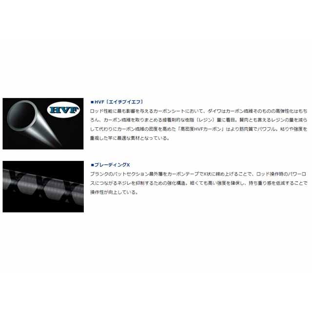 DAIWA（ダイワ） シーバスハンターX 90ML・R （21年モデル