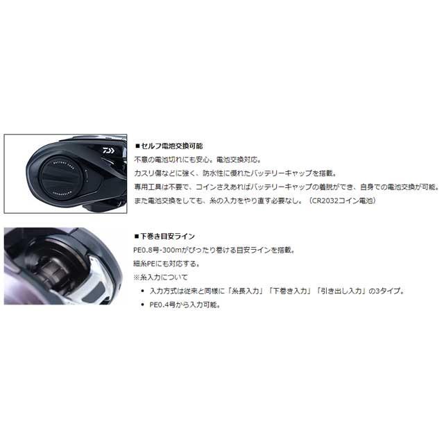 DAIWA（ダイワ） ティエラ A IC 150H （21年モデル 右巻き シングル