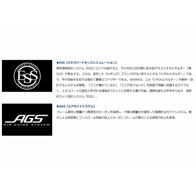 DAIWA（ダイワ） 極鋭 コンセプトゲーム F H-170AGS （21年
