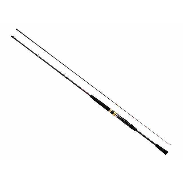 DAIWA（ダイワ） シーフレックス64 50-300・N （22年モデル