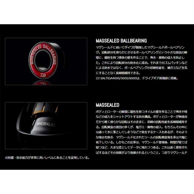 DAIWA（ダイワ） ソルティガ 6000-H （23年モデル ハイギア