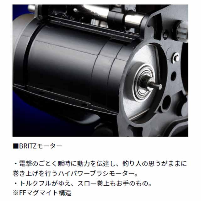 DAIWA（ダイワ） レオブリッツ 300J （23年モデル 右巻き ギア比