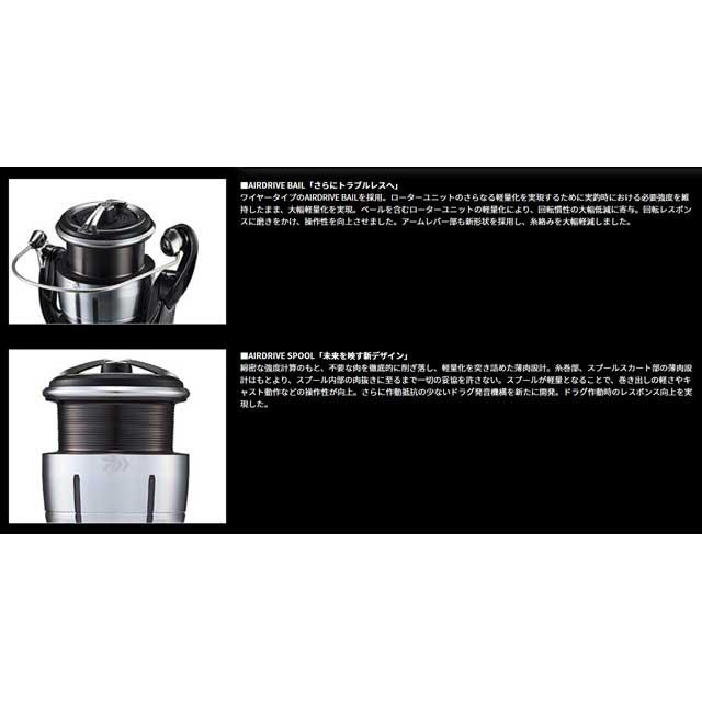 DAIWA（ダイワ） レグザ LT4000-C （23年モデル 深溝 ノーマルギア
