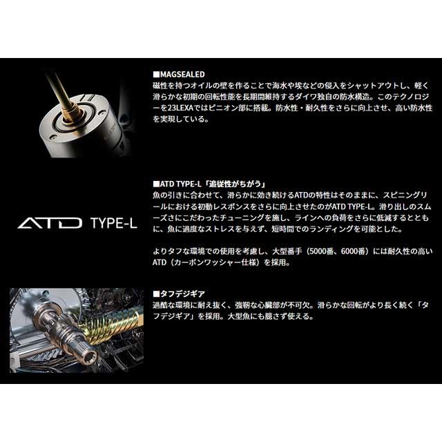 DAIWA（ダイワ） レグザ LT4000-C （23年モデル 深溝 ノーマルギア