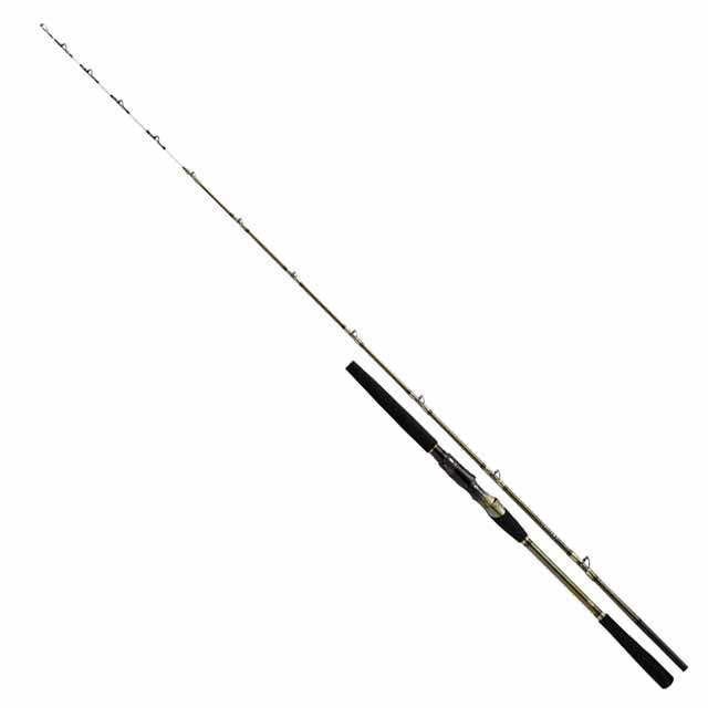 DAIWA（ダイワ） リーディング ネライ M-200・W （2ピース 7 