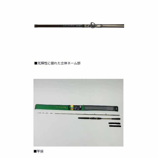 DAIWA（ダイワ） リーディング ネライ HH-200・W （2ピース 7