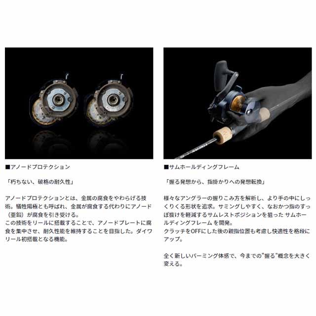 DAIWA(釣り) DAIWA/ダイワ ソルティガ 15 (22年 DAIWA(釣り) DAIWA/ダイワ ソルティガ 15 (22年