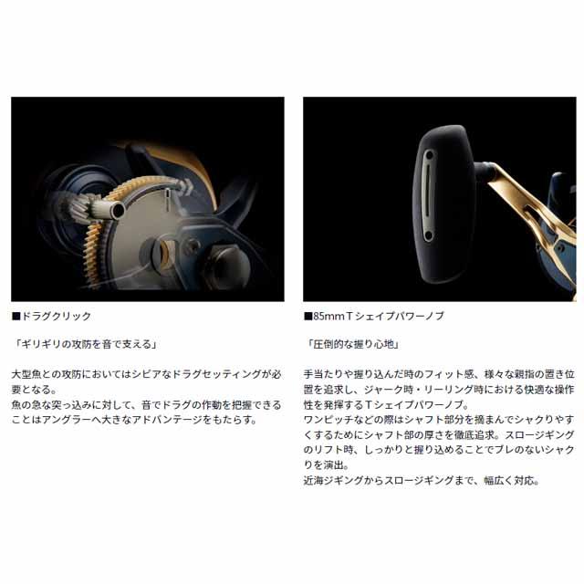 DAIWA(釣り) DAIWA/ダイワ ソルティガ 15 (22年 DAIWA(釣り) DAIWA/ダイワ ソルティガ 15 (22年