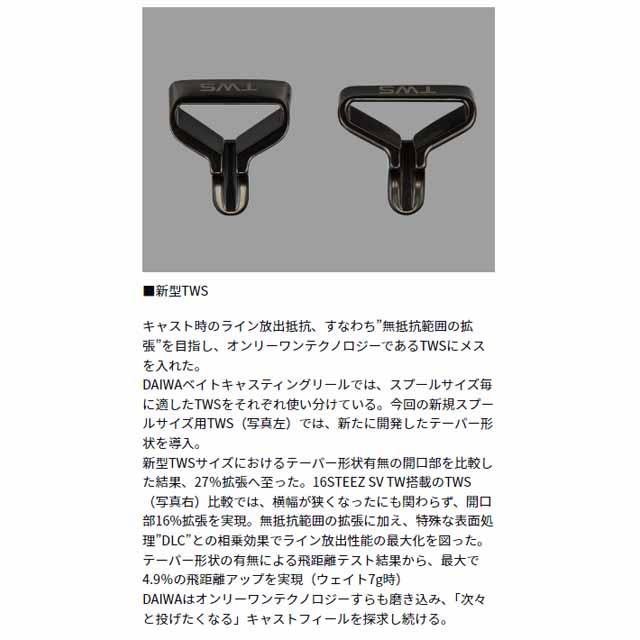 DAIWA（ダイワ） スティーズ SV TW 100H （24年モデル 右