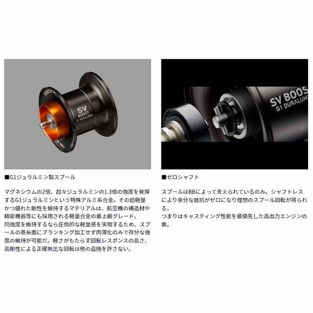 DAIWA（ダイワ） スティーズ SV TW 100H （24年モデル 右