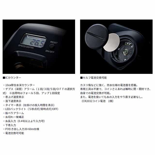 DAIWA（ダイワ） 紅牙 IC 200P （24年モデル 右巻き ギア比