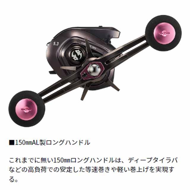 DAIWA（ダイワ） 紅牙 IC 200P （24年モデル 右巻き ギア比