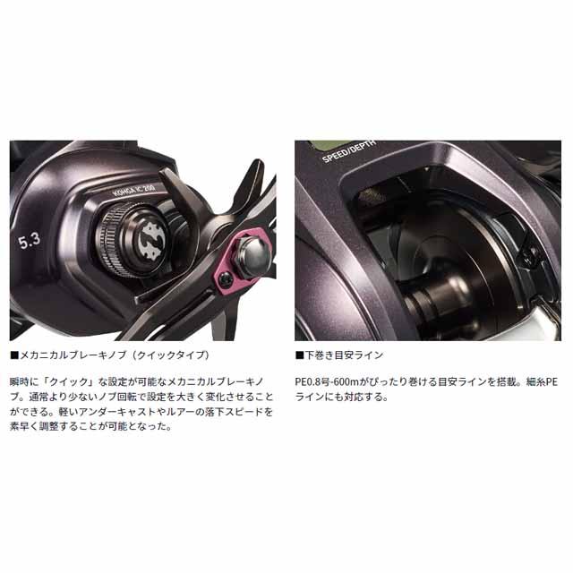 DAIWA（ダイワ） 紅牙 IC 200 （24年モデル 右巻き ギア比：6