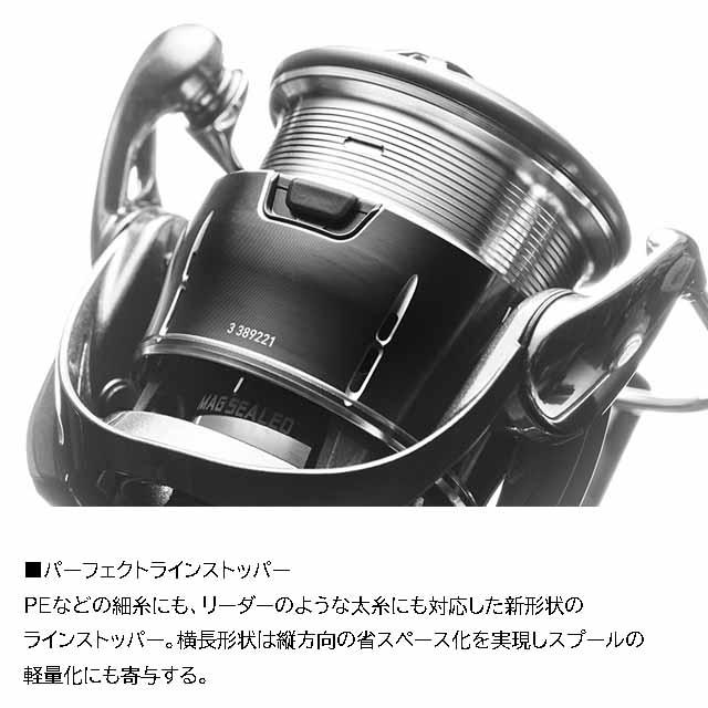 DAIWA（ダイワ） ルビアス PC LT2500-H （25年モデル ギア