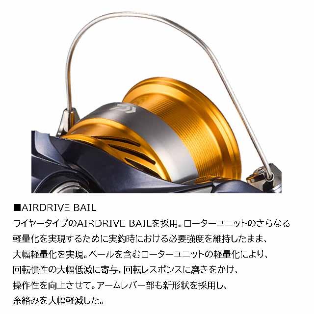 DAIWA（ダイワ） レブロス LT6000D-H （24年モデル ギア比5