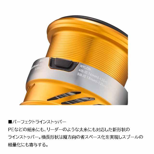 DAIWA（ダイワ） レブロス LT6000D-H （24年モデル ギア比5