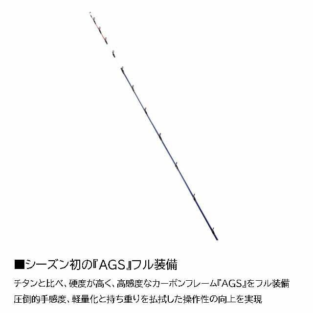 DAIWA（ダイワ） 極鋭ヒラメ M-240・K （24年モデル 並継ぎ2