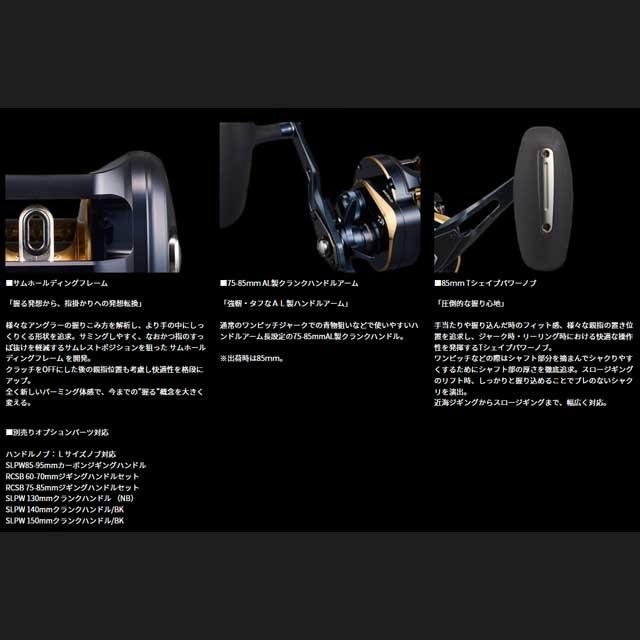 DAIWA（ダイワ） 25 ソルティガ 300HL （25年モデル 左巻き