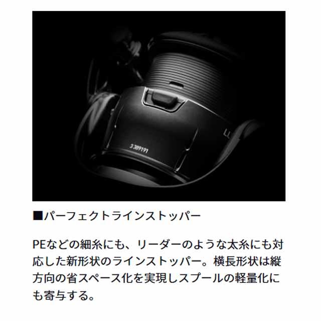 DAIWA（ダイワ） ルビアス ST SF2000SS-P （24年モデル