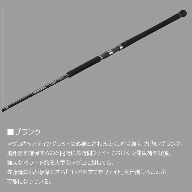 DAIWA（ダイワ） ソルティガ C ドッグファイト 76-10（25年