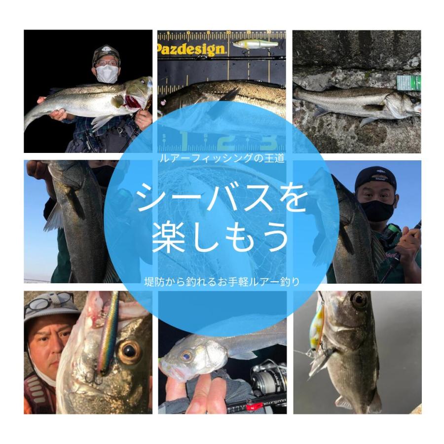シーバス入門オールインワンセットPE シーバスロッド＋リール PEライン