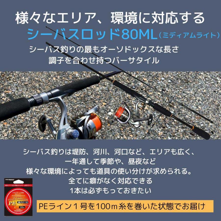 シーバス入門オールインワンセットPE シーバスロッド＋リール PEライン