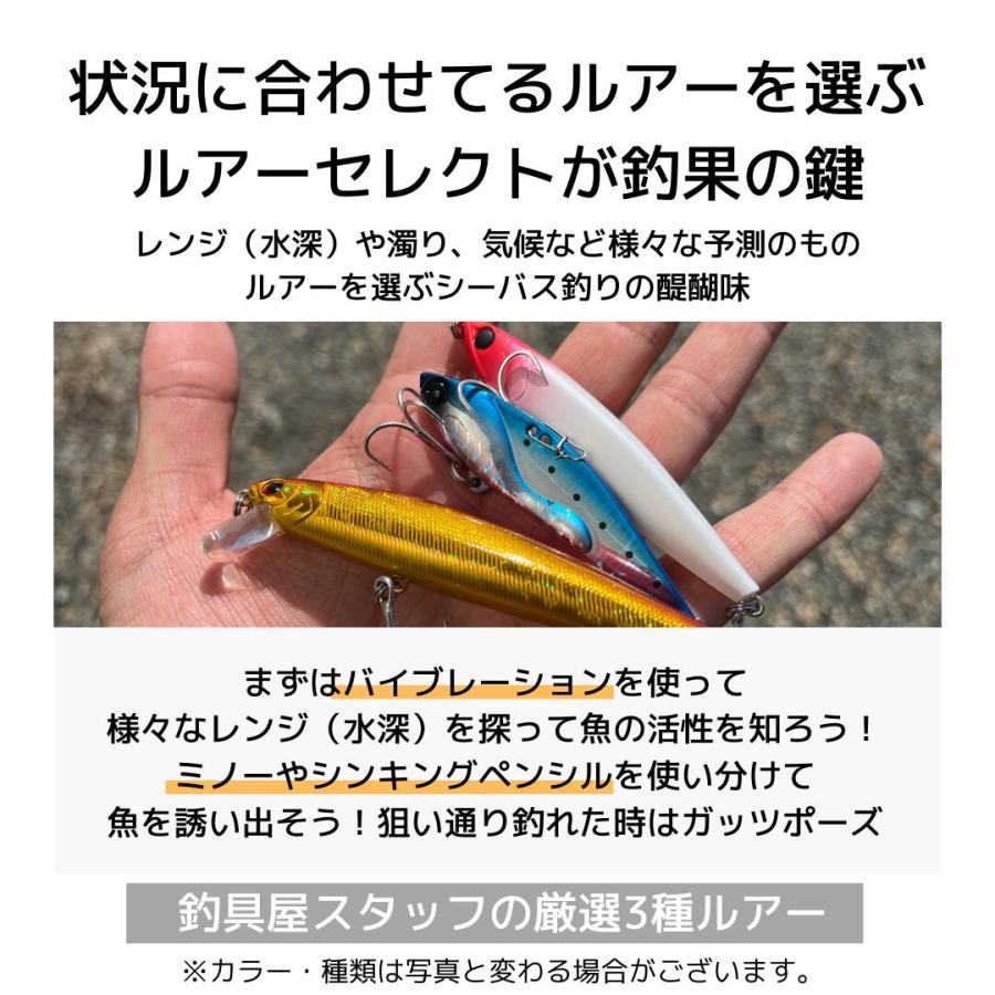 シーバスセット　新品Peライン付き 4bc678b06a88c221e72961423e4b53