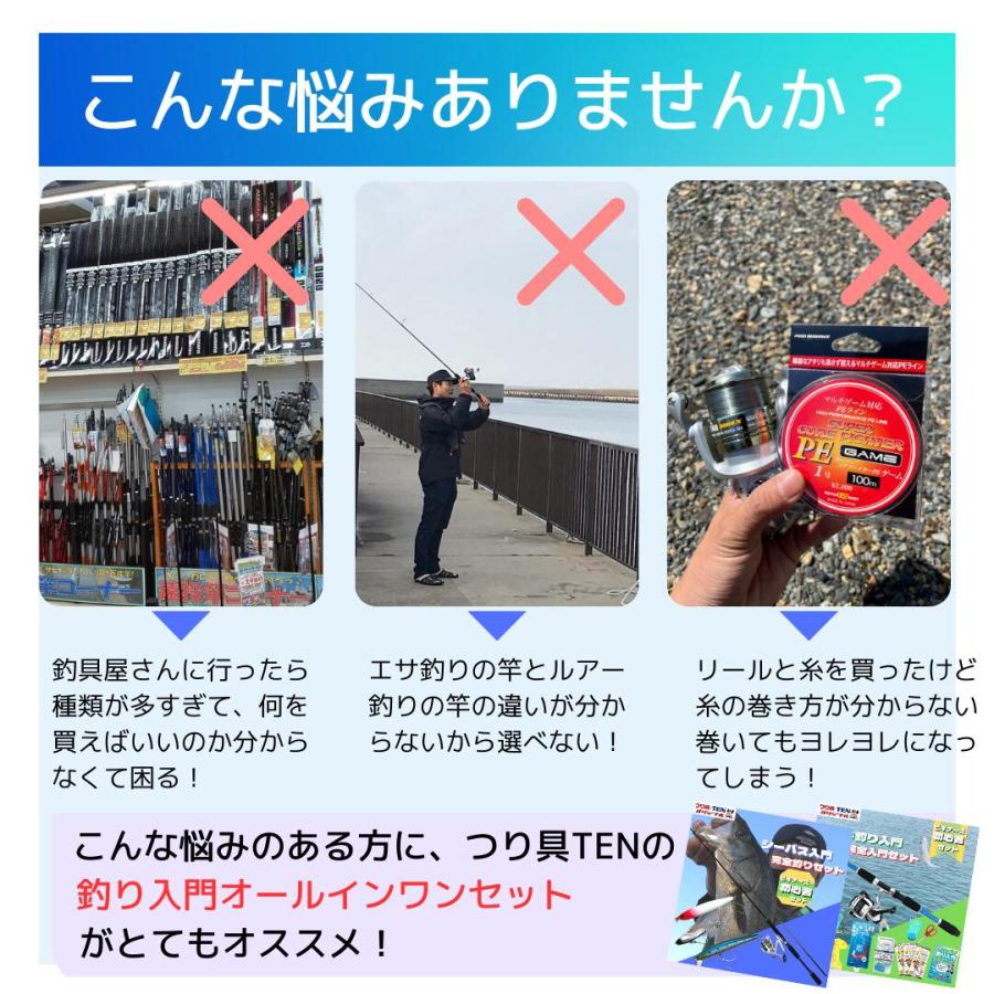 シーバス入門オールインワンセットPE シーバスロッド＋リール PEライン