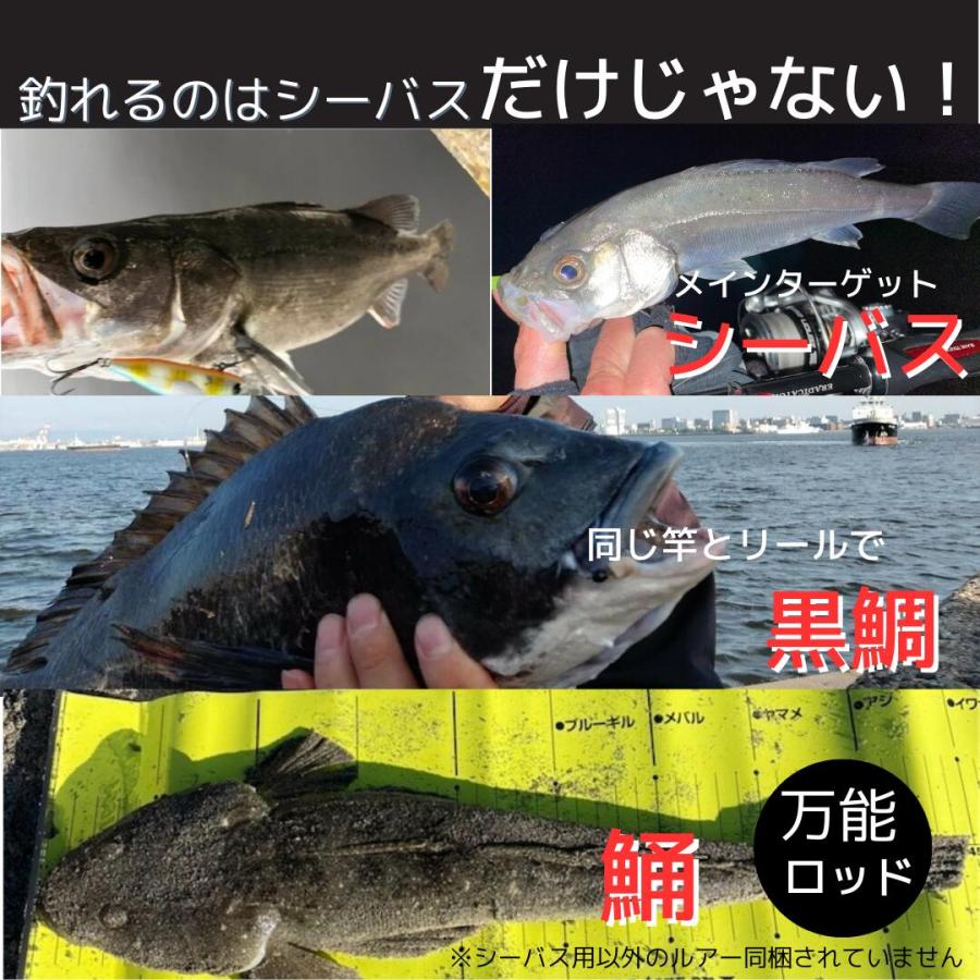 シーバス入門オールインワンセットPE シーバスロッド＋リール PEライン