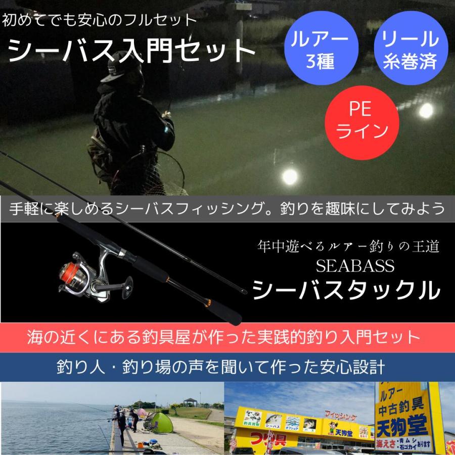 シーバス入門オールインワンセットPE シーバスロッド＋リール PEライン