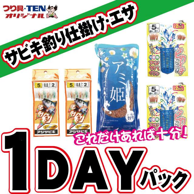 サビキ釣り 仕掛け １DAYパック（サビキ仕掛け／コマセカゴ／アミ姫／釣りセット／初心者オススメ1日パック）｜tsurigu-ten